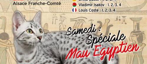 Expo de novembre :