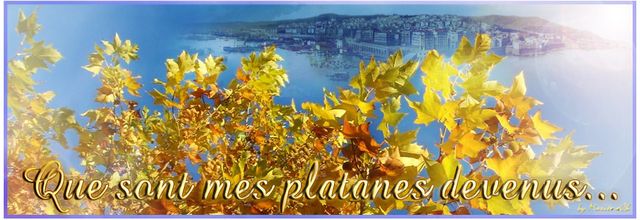 - Que sont mes platanes devenus... Avant-propos
