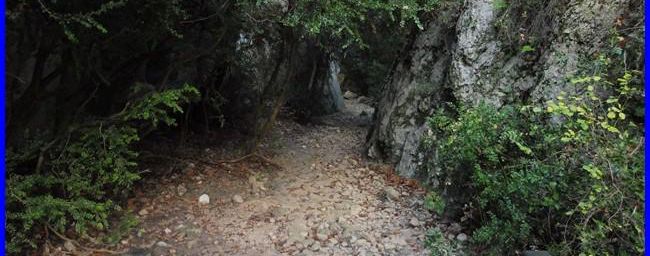 Luberon, les gorges du Regalon