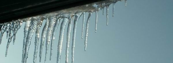 Froid
