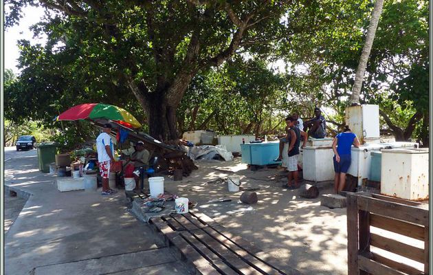 Le petit marché aux poissons de Anse Royale - Mahé - Seychelles