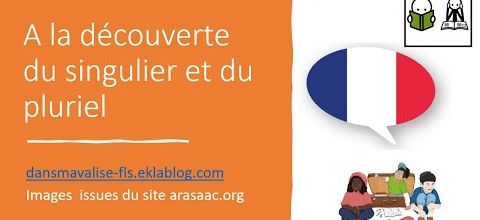 A la découverte du singulier et du pluriel  