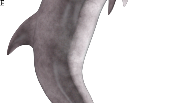 Tube de dauphin (image-render)