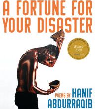 It series book free download A Fortune for Your Disaster