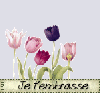 Bon Anniversaire Evelyne