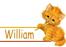 Chat, signatures animees