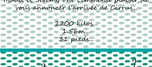 Parce qu'il n'y a pas que le boulot dans la vie...