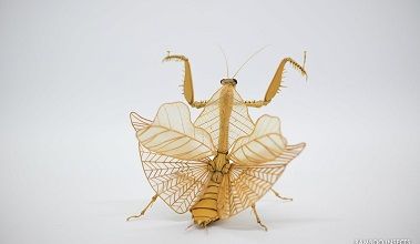 Magnifiques insectes en bambou ... 