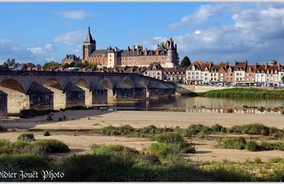 45 . Loiret - Gien (1) - Château de Gien