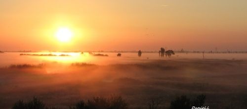 tous les matins du monde...!