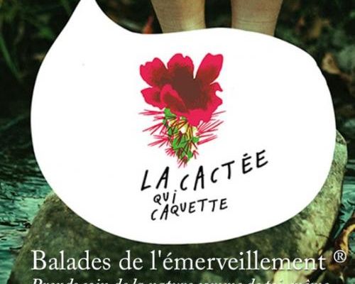 La cactée qui caquette