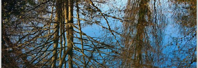 Reflets (1)
