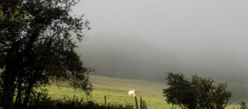 Lueur de l'aube sur les cimes