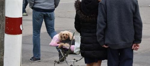 ... petite promenade...!