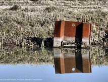 Au bord du Canal