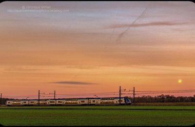 Rambouillet : Vers des jours meilleurs ... 