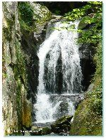 CIRCUIT DU GRAND SAUT PAR AUBIER (Lot - 46)
