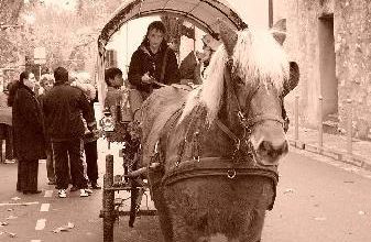 Le chariot