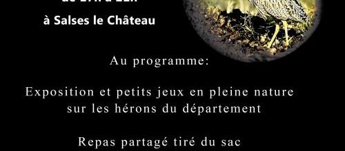 La Nocturne du Butor !