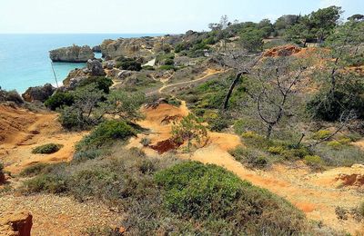 la Praia dos Arrifes