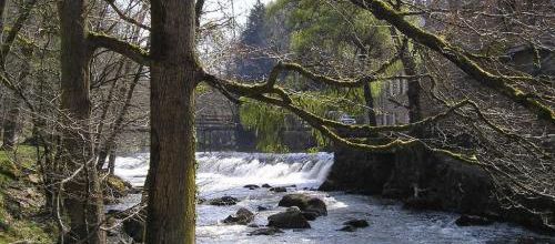 Les gorges de la Sédelle