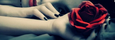 Roses ... 