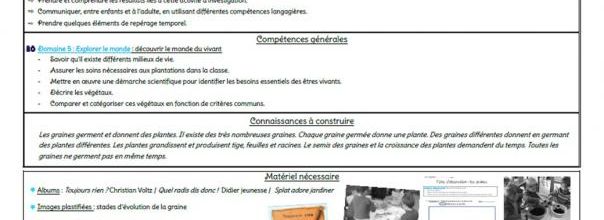 Séquence sur la germination, MS GS
