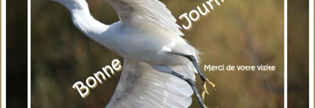 PARC ORNITHOLOGIQUE DE PONT DE GAU (2/2)
