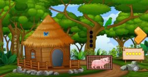 Pig rescue