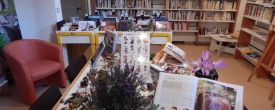 récolte champignons en balade-rando avec le FR 