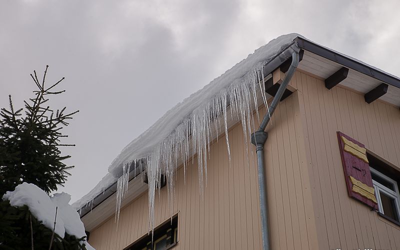 Juste  avant qu'elle  parte... 