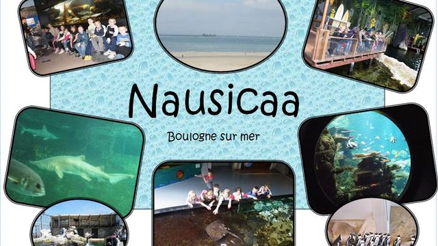 * Sortie scolaire à nausicaa (Boulogne sur mer- 62)