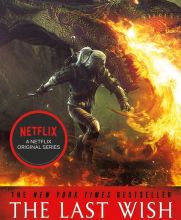 Free computer pdf books download The Last Wish: Introducing the Witcher