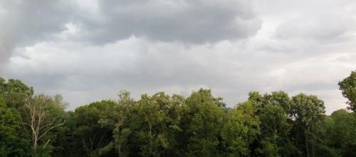 Et pendant ce temps là ... - 10