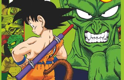 Dragon ball full color - Tome 10 - Akira Toriyama