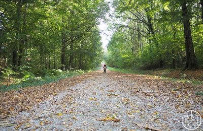 La fête de l'automne