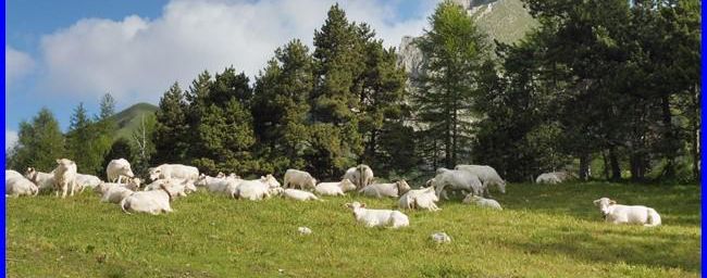 Devoluy, Chaudun par le sentier des cascades
