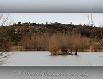 Lac de la Jasse (Mas de Londres - Hérault 34)