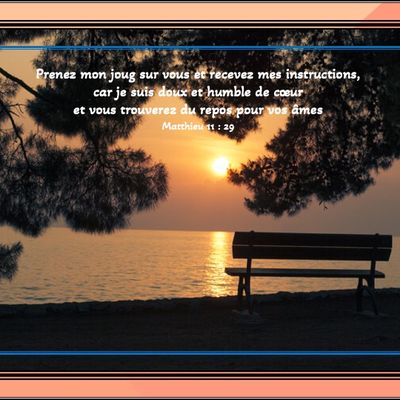 Prenez mon joug sur vous et recevez mes instructions - Matthieu 11 : 29