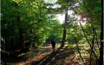 (J51) Roncesvalles /Orisson 25 mai 2012