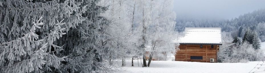 Et s'en est venu l'hiver  