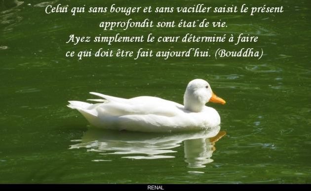 Aujourd'hui