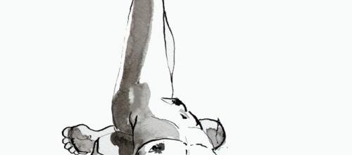 Dessin au calame : nu et chat