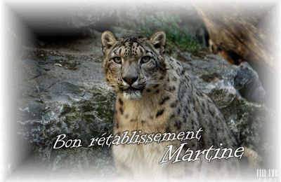 Bonsoir, j'ai une mauvaise nouvelle de mon amie Martine à vous communiquer.