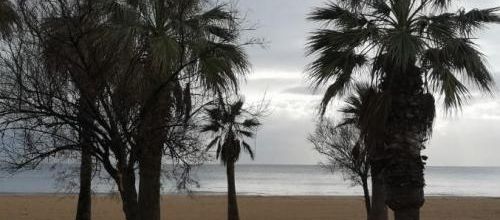 gris