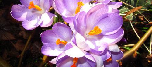 Springtime