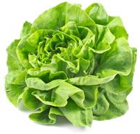 Mangez de la laitue ... 