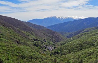 Le Chemin des Frênes ou Cami de les Freixes à Urbanya