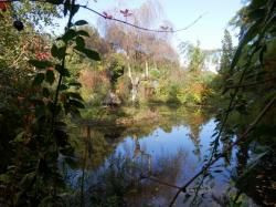 LE JARDIN DU MARAIS à HERBIGNAC (Loire-Atlantique - 44)