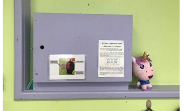 Les murs de la classe : quelle place pour l'affichage ? 